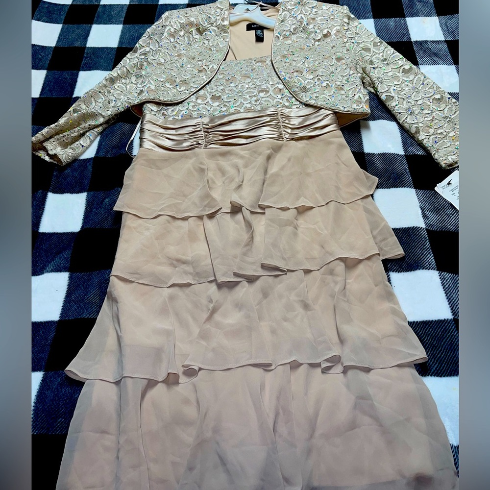 David’s Bridal Dress & Cover